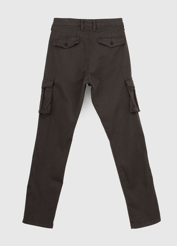 Серые повседневный демисезонные брюки Black zi