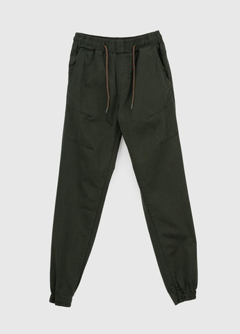 Зеленые повседневный демисезонные брюки Black zi