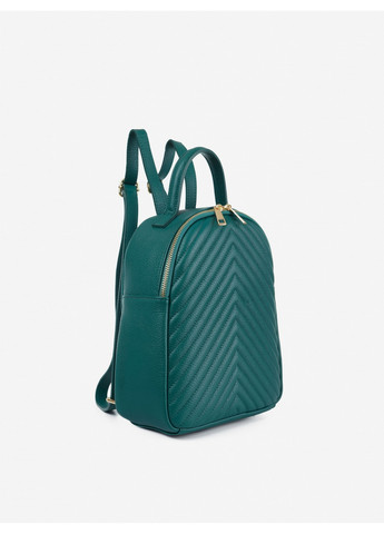 Женский кожаный рюкзак 23х29х10 см Virginia Conti (275069390)