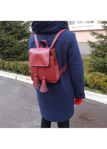 Рюкзак 25х20х10 см Sambag (275074629)