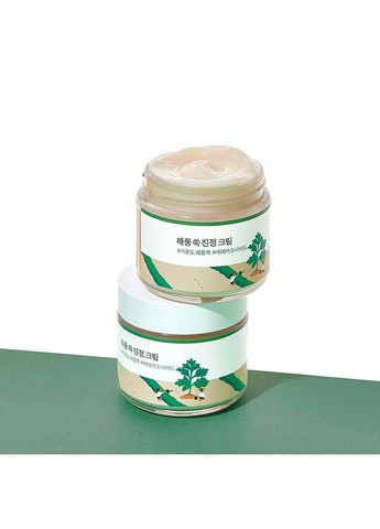 Заспокійливий крем з морським полином MUGWORT Calming Cream 80 мл Round Lab (275333839)