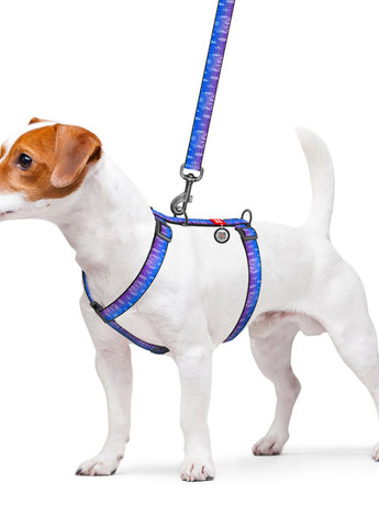 Шлей для собак анатомический H-образный Nylon с QR-паспортом "Ловец снов" L, Ш 25 мм, А 50-90, В 60-100 WAUDOG (276387592)