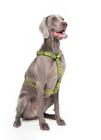 Шлея для собак анатомічна H-подібна Nylon з QR-паспортом"Сміливість", L, Ш 25 мм, А 50-90, В 60-100 WAUDOG (276387451)