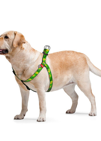 Шлея для собак Nylon з QR паспортом"Авокадо", Ш 20 мм, Дов 50-80 см WAUDOG (276387320)
