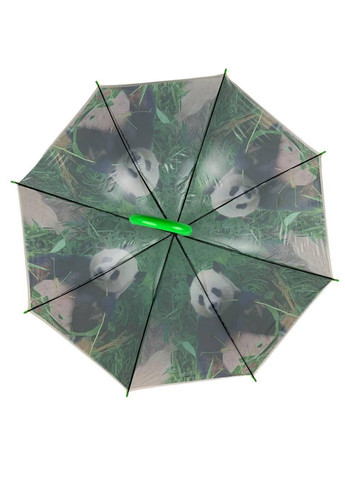 Жіноча парасолька тростина Swift (276392306)