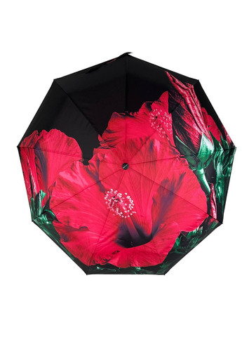 Жіноча парасолька автомат Rain (276392038)