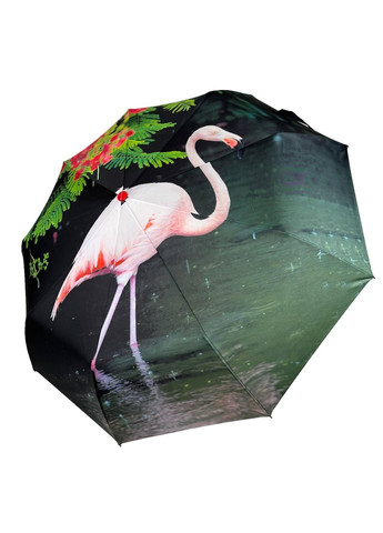 Жіноча парасолька автомат Rain (276392000)