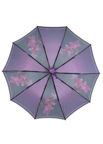 Жіноча парасоля напівавтомат Toprain (276392633)