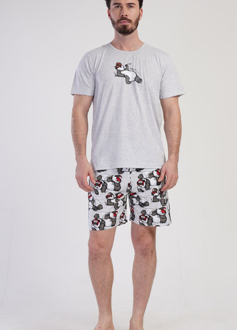 Пижама мужская (футболка, шорты) Vienetta (276469123)