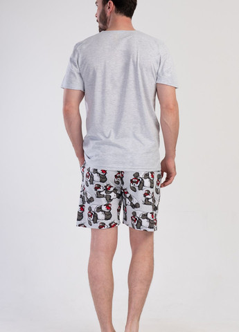 Пижама мужская (футболка, шорты) Vienetta (276469123)