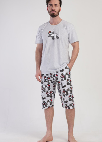 Пижама мужская (футболка, бриджи) Vienetta (276469119)