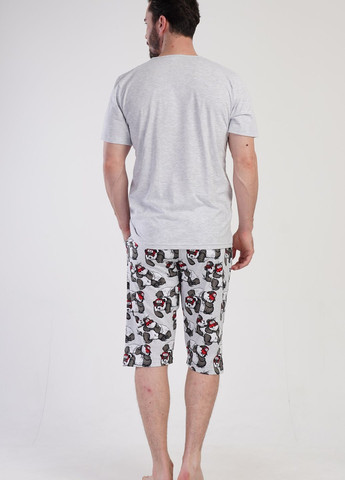 Пижама мужская (футболка, бриджи) Vienetta (276469119)