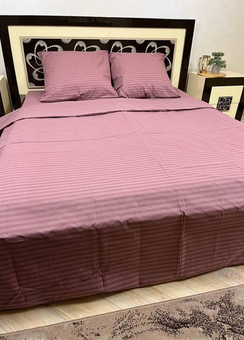 Постельное белье хлопковое Полоска Евро 200 x 220 Бязь Сливовый 50 х 70 No Brand (276974661)