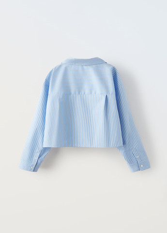 Голубой праздничный рубашка в полоску Zara