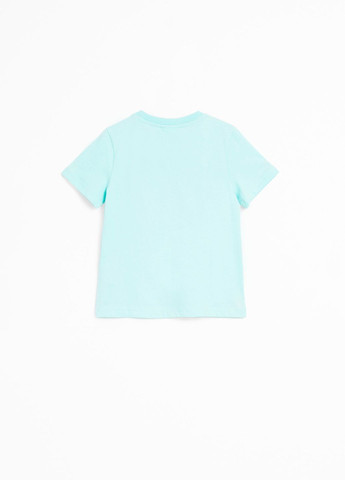 Светло-синяя демисезонная футболка Coccodrillo