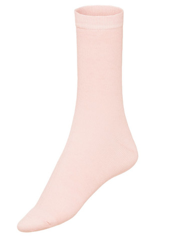 Шкарпетки 6 пар Esmara (276903475)