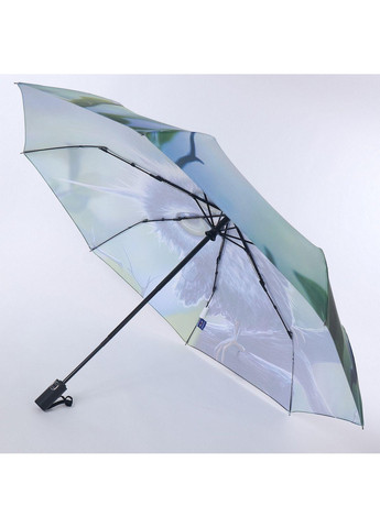 Жіноча парасолька автомат NEX (276982724)