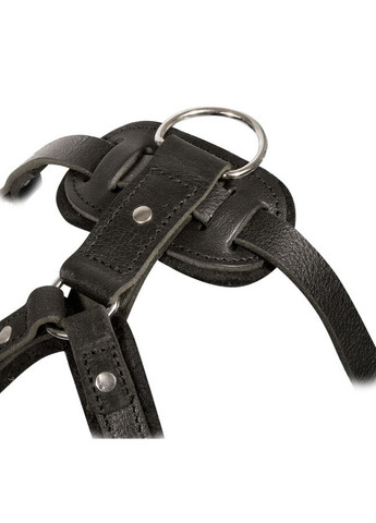 Шлейка прогулянкова із заклепками LeathART (276984021)