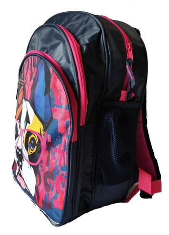 Рюкзака школьный для девочки Paso (276979841)