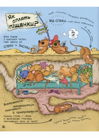 В гостях у животных : Как животные спят С952001Р 9786170959683 РАНОК (277159263)