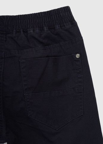 Темно-синие повседневный демисезонные брюки Неслухнянки