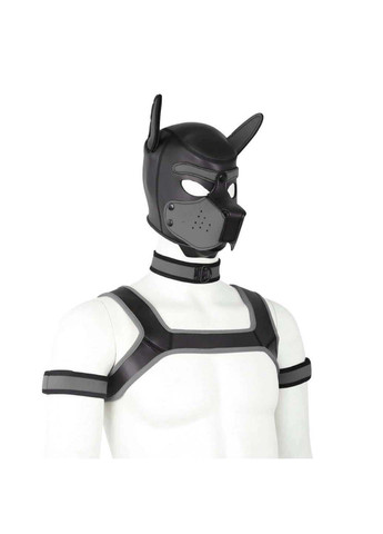 Комплект для игры в раба Dog Bondage Gear Kit Gray Bdsm4u (277229388)