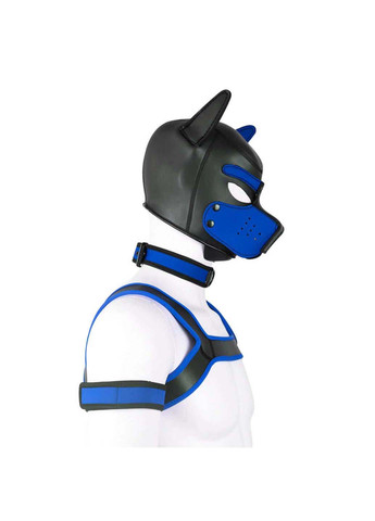 Комплект для игры в раба Dog Bondage Gear Kit Blue Bdsm4u (277229448)