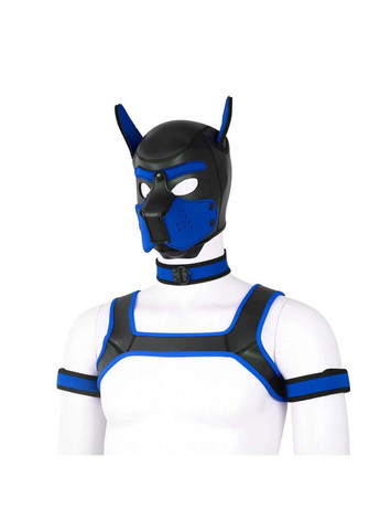 Комплект для гри в раба Dog Bondage Gear Kit Blue Bdsm4u (277229448)