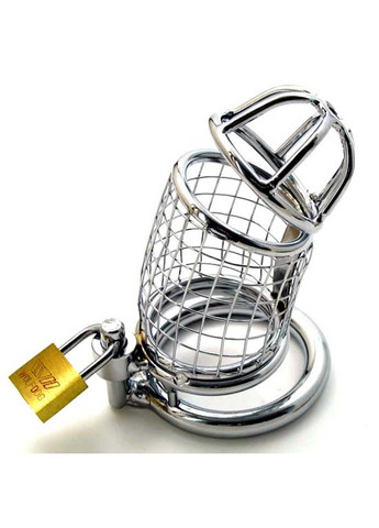 Сталевий пояс вірності з нержавіючої сталі Lancelot De Luxe Silver Bdsm4u (277229310)