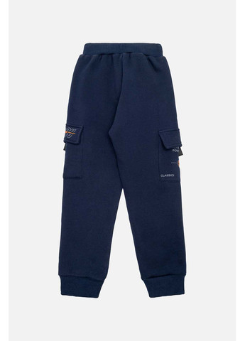 Темно-синие зимние брюки Lizi Kids