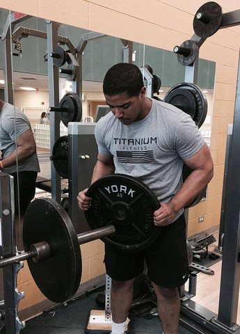 Серая мужская футболка Alpha