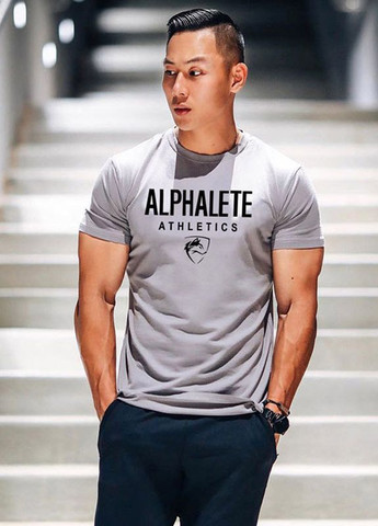 Серая мужская футболка Alpha