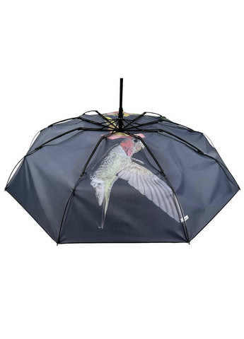 Зонт автомат женский Rain (277690336)