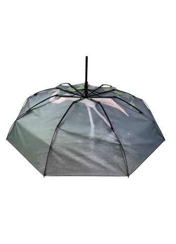 Зонт автомат женский Rain (277691357)