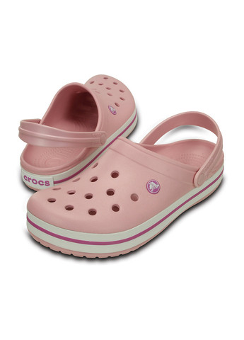 Сабо Pearl pink / Wild orchid Crocs crocband (277821142)