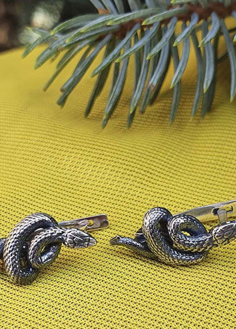 Сережки у вигляді змії 8885 Maxi Silver (277756994)