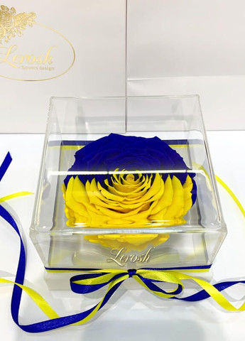 Cтабилизированный бутон розы "Флаг Украины" в подарочной коробке - Premium LEROSH (278020038)