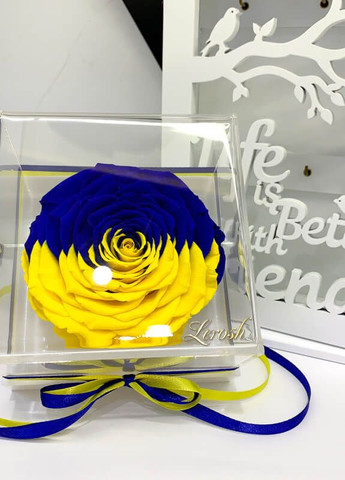 Cтабилизированный бутон розы "Флаг Украины" в подарочной коробке - Premium LEROSH (278020038)