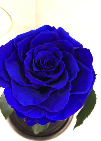 Синяя роза в колбе - Premium 27 см LEROSH (278020041)