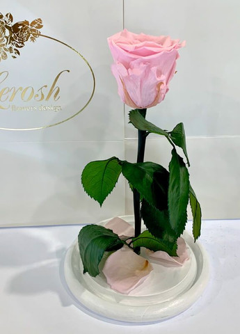 Рожева троянда в колбі - Classic 27 см LEROSH (278019955)