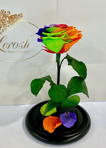 Яркая Радужная роза в колбе - Premium 27 см LEROSH (278019969)