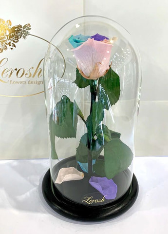 Ніжна Райдужна троянда в колбі - Classic 27 см LEROSH (278020058)