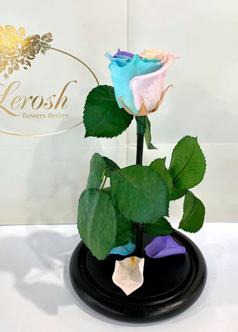 Ніжна Райдужна троянда в колбі - Classic 27 см LEROSH (278020058)