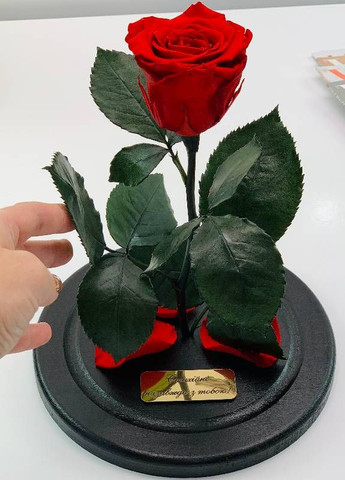 Роза в колбе с гравировкой - Classic 27 см LEROSH (278020068)