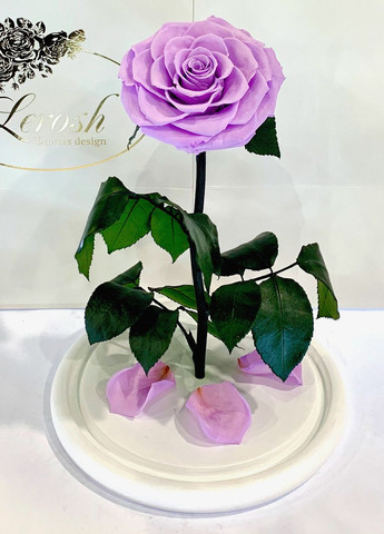 Лиловая роза в колбе - Lux 33 см на белой подставке LEROSH (278020064)