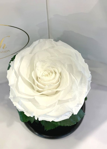 Біла троянда в колбі - Premium 27 см LEROSH (278020028)