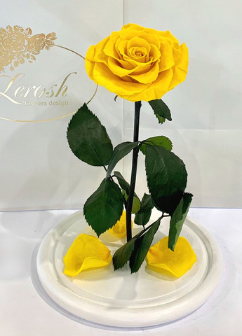 Жовта троянда в колбі - Lux 33 см LEROSH (278019985)