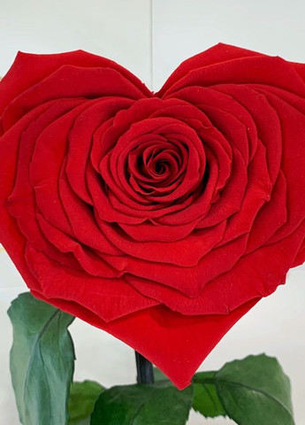 Червона троянда в колбі Серце - Lux 33 см LEROSH (278019971)