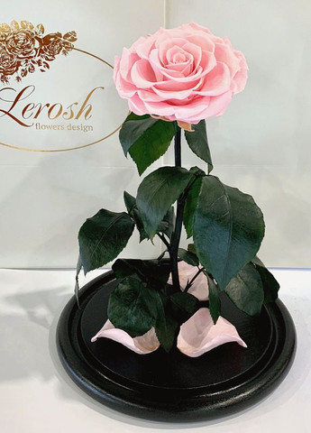 Розовая роза в колбе - Lux 33 см LEROSH (278019957)