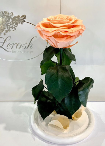 Персиковая роза в колбе - Premium 27 см LEROSH (278019948)
